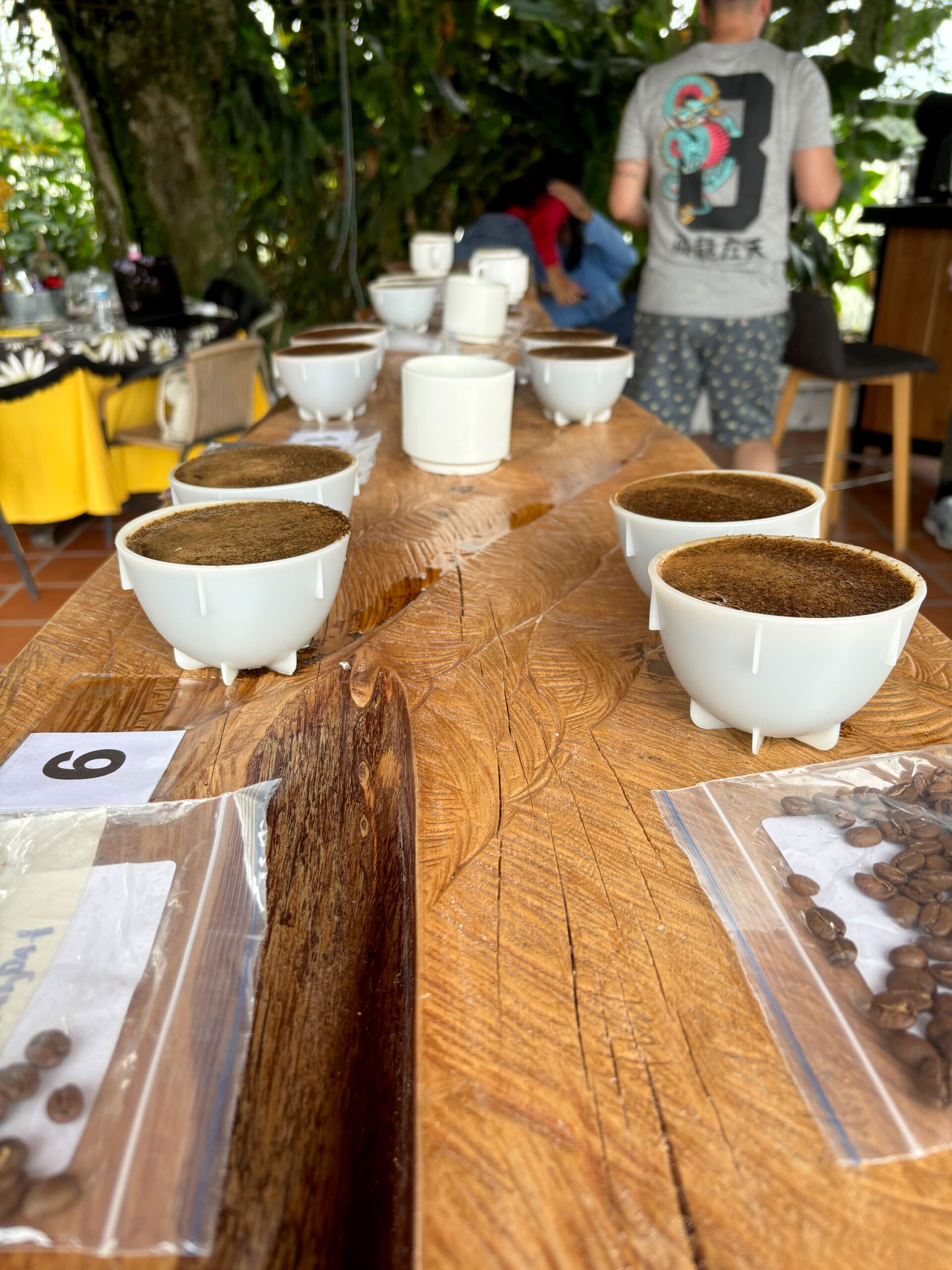 coffee cupping experience in Colombia Finca Milan, UBA